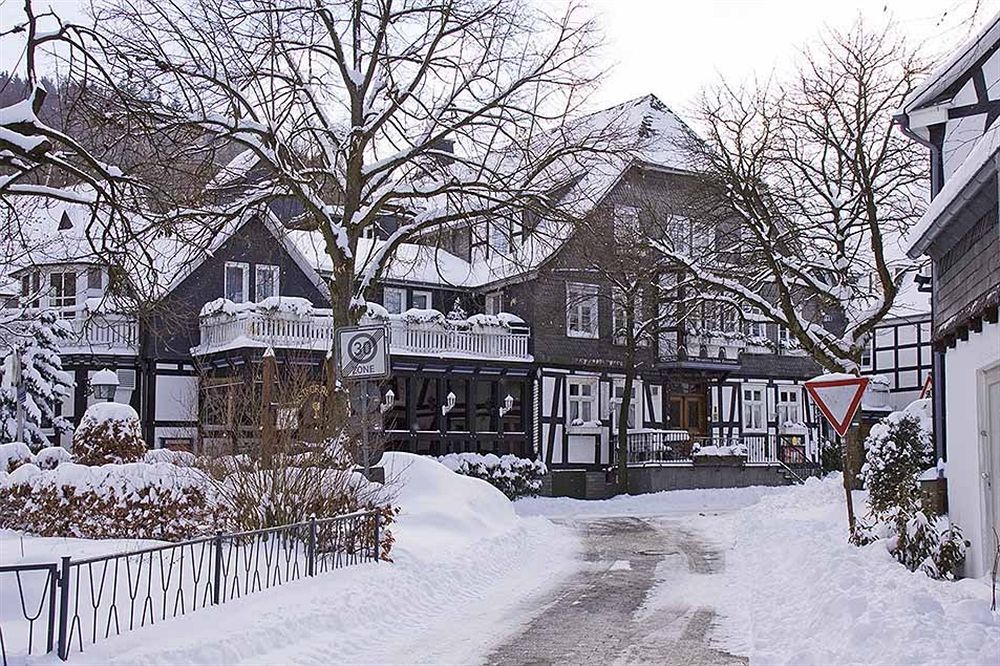 Landhotel Albers Schmallenberg Extérieur photo